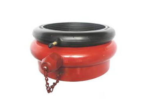 氣胎由壬 氣胎由壬